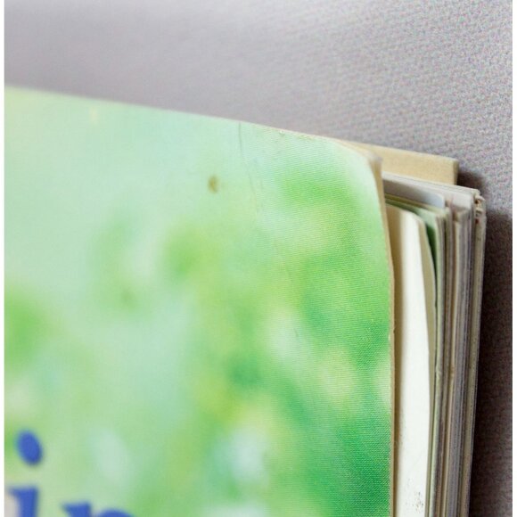 The Pampered Chef Casual Cooking Cookbook Easy Recipes For Indoors & Out 2002 - Picture 11 of 15